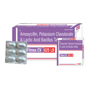 FITMOX-CV 625 LB TABLET